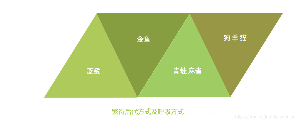 機(jī)器學(xué)習(xí)中入門級必學(xué)的算法